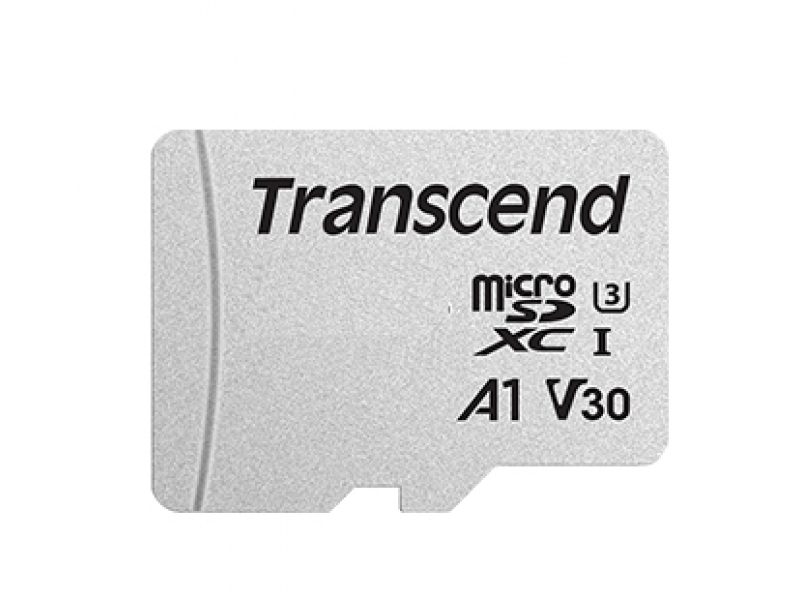 Ã¢â‚¬Â¢ 8GB microSD w/o adapter Ã¢â‚¬Â¢ Geschwindigkeitsklasse: Class 10 Ã¢â‚¬Â¢ Lesegeschwindigkeit: B