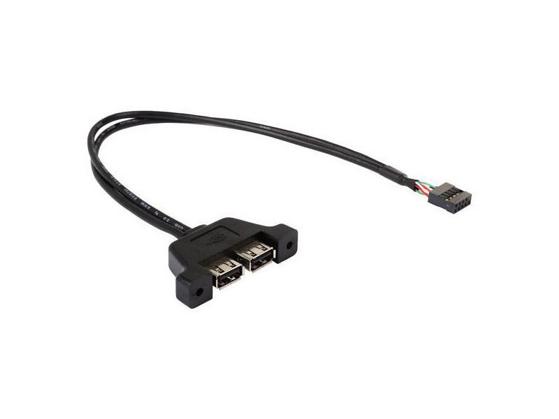 ASROCK Deskmini 2XUSB2.0 Cable Asrock - DESKMINI 2XUSB2.0 CA