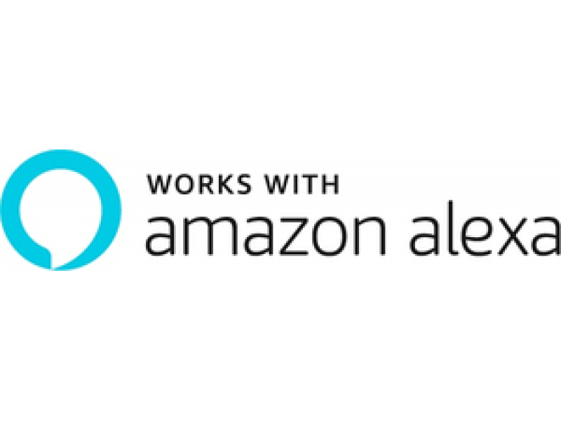 RING VIDEO DOORBELL SATIN NICKEL