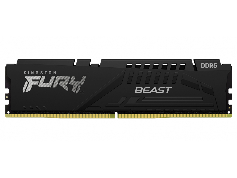 Kingston Technology FURY Beast 8 GB 5600 MT/s DDR5 CL36 DIMM Black EXPO (8GB DDR5-5600MT/S CL36 DIMM - FURY BEAST BLACK EXPO)