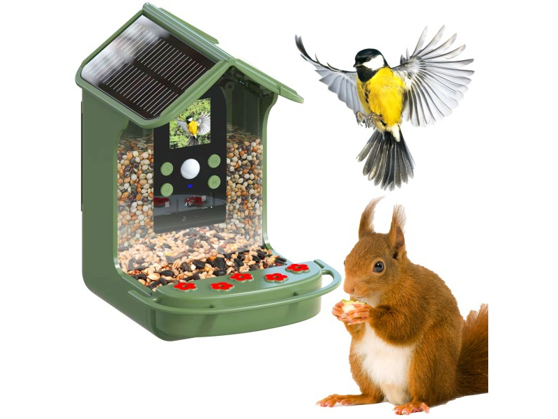 Fotocamera e mangiatoia per animali Easypix Birdycam