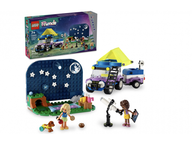 Camping-van sotto le stelle