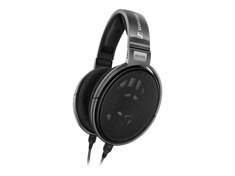 Cuffie Sennheiser HD 650 508825