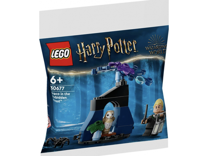 LEGO Harry Potter - Draco nella Foresta Proibita (30677)