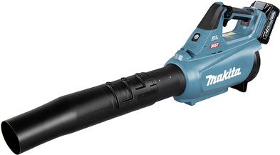 UB001GM101 - Blower foglia