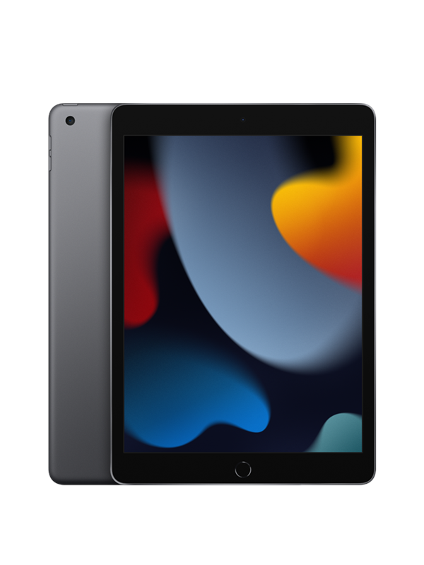 iPad Wi-Fi Cellular 10.2 64GB grigio da 10,2 pollici