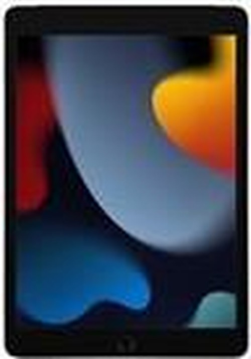 IPAD WI-FI CL 256GB SP GRAY