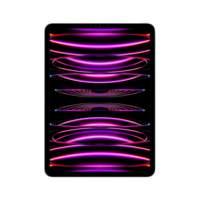 Apple iPad Pro 256 GB 27,9...
