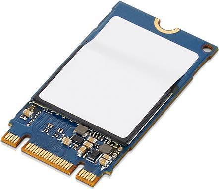 ThinkPad 1TB M.2 2242 PCIe NVMe 3x4