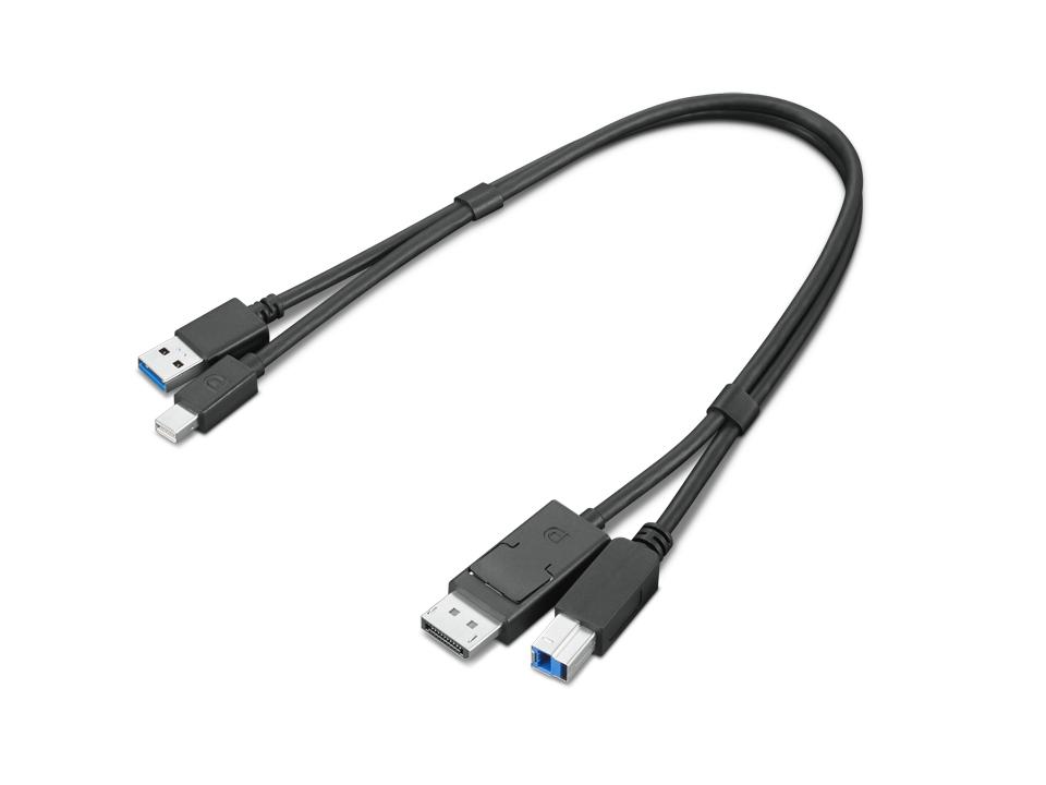 Lenovo 4X91D11453 cavo USB 043 m USB 3.2 Gen 1 3.1 Gen 1 USB A USB B Nero (Lenovo Dual Head - Kit cavo display/USB - USB Tipo A