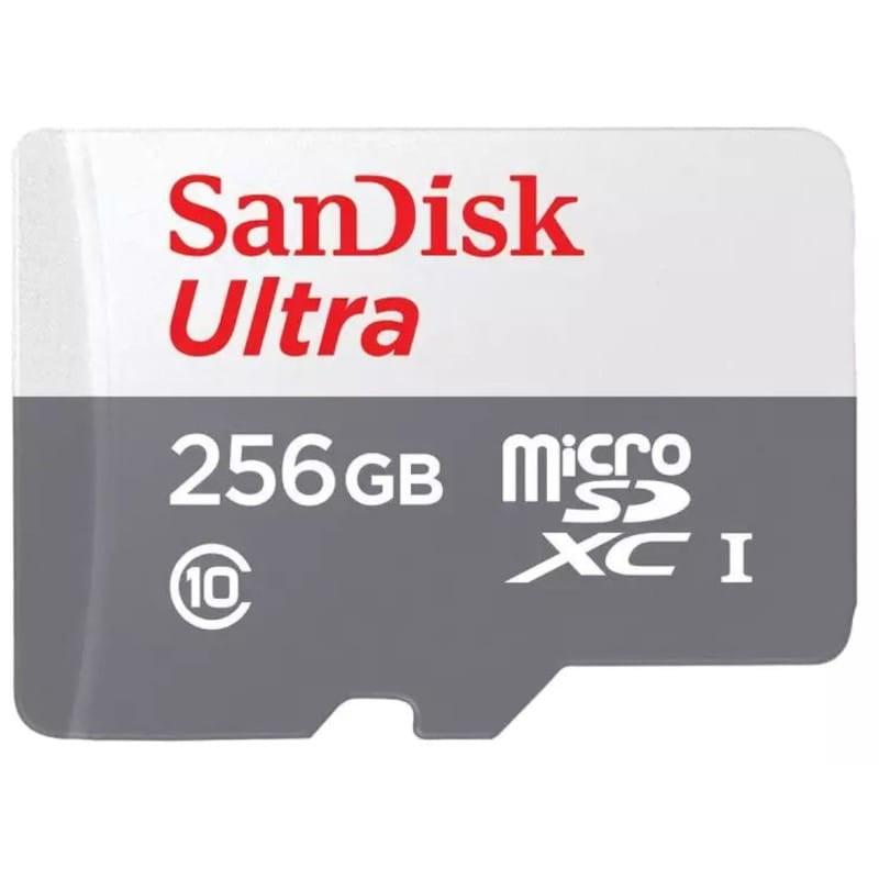 SanDisk Ultra 256 GB...