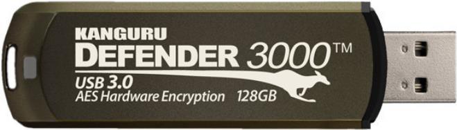 Soluzioni Defender 3000, 16 GB, USB tipo A, 3.2 Gen 1 3.1 Gen 1 , cappuccio, 38 g, marrone