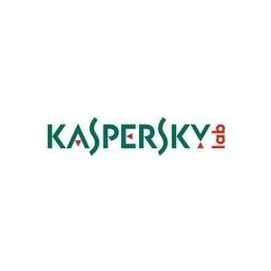 Kaspersky Total Security for Business - Licenza di abbonamento (1 anno) - 1 Knot - Volume - Livello P (25-49) - Europa (KL4869X