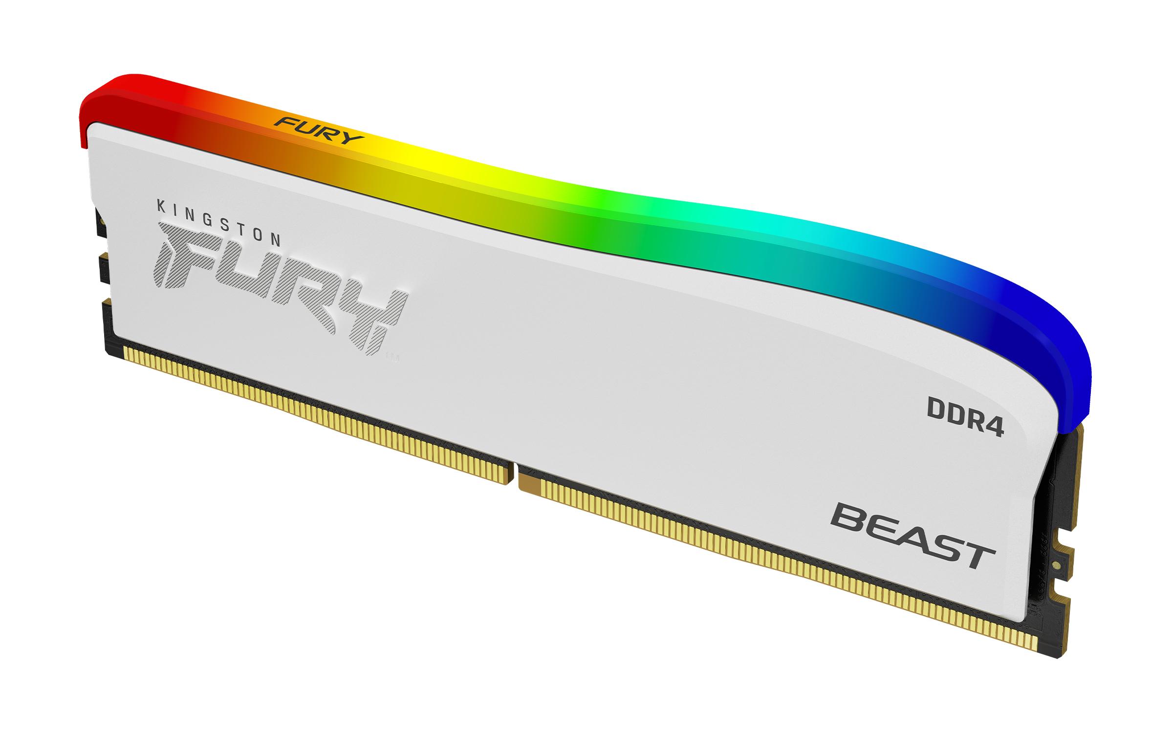 Kingston Technology FURY...
