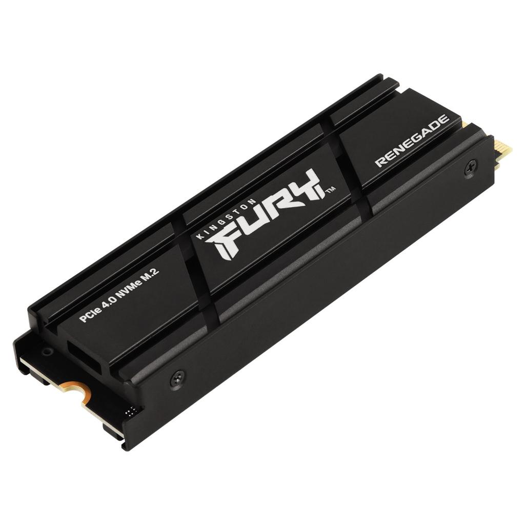 Kingston Technology 1000G...