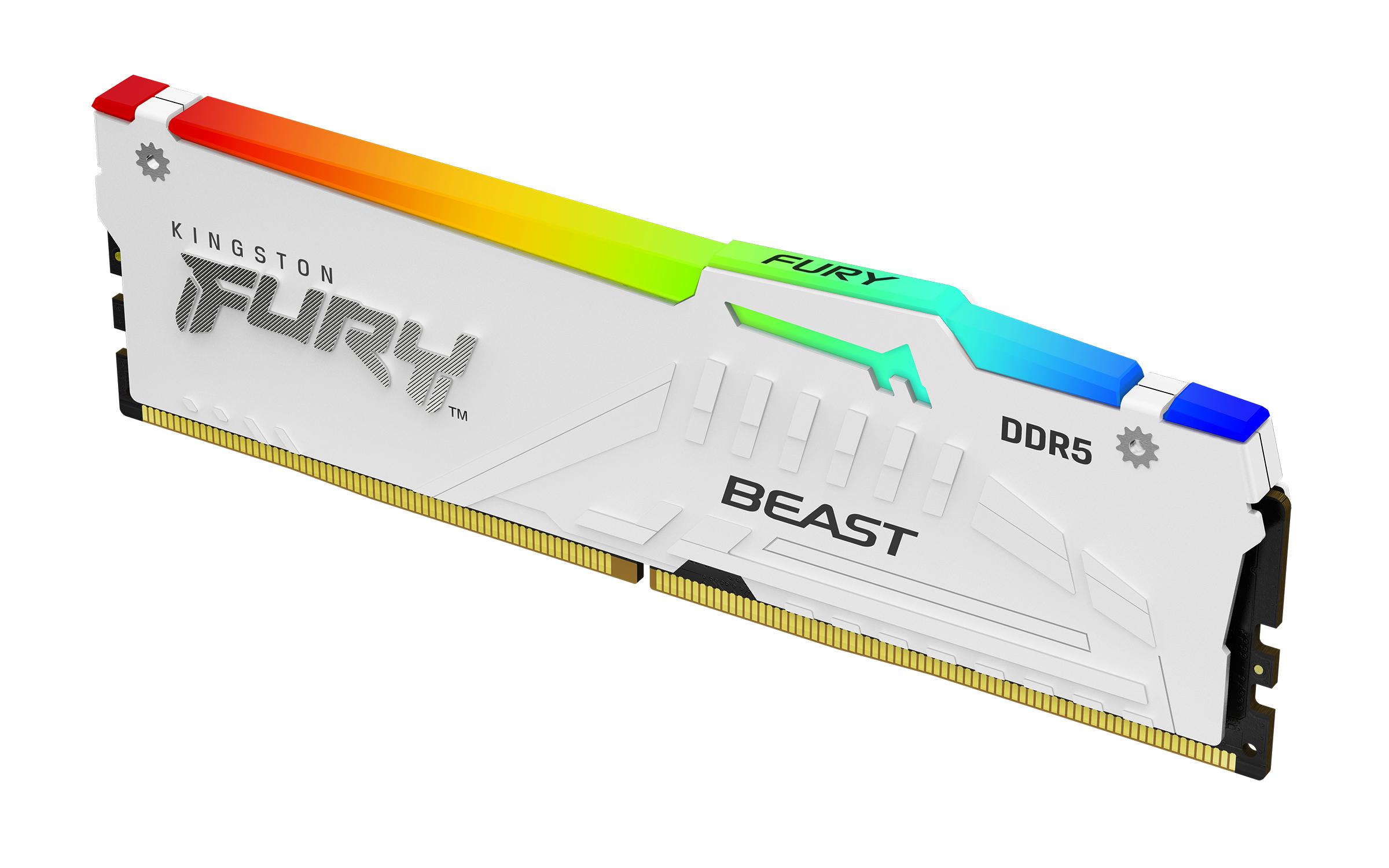Kingston Technology FURY...
