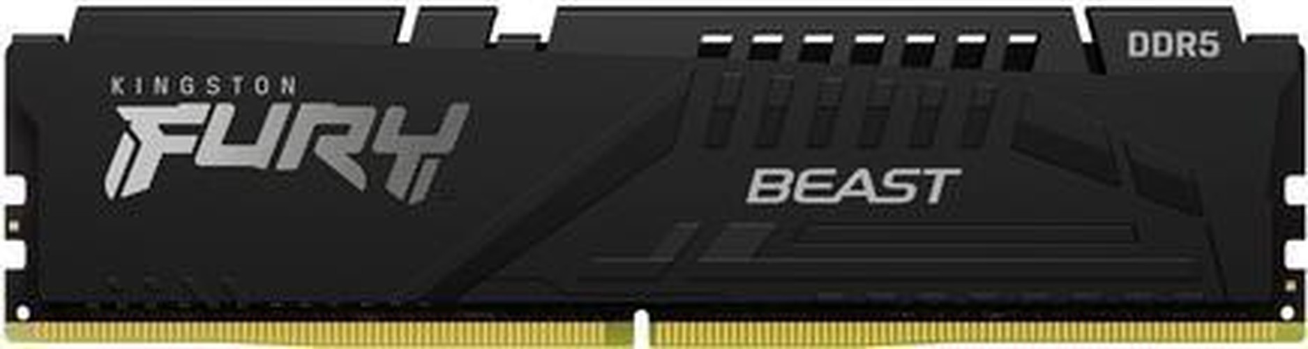 Kingston Technology FURY...