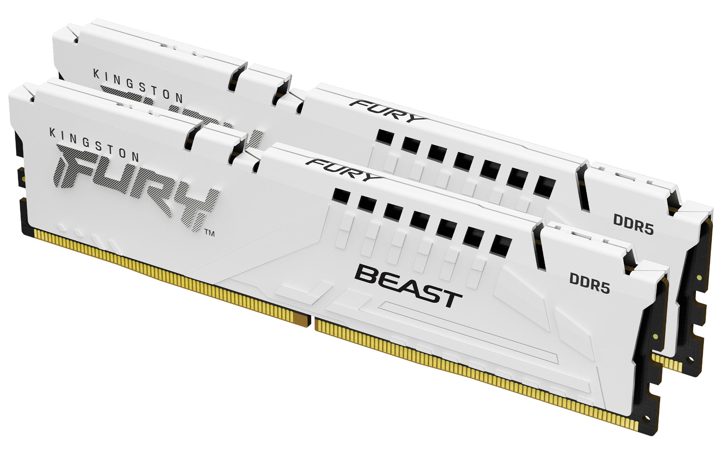 Kingston Technology FURY...