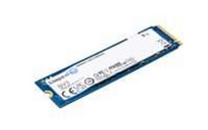 Kingston Technology 1000G...