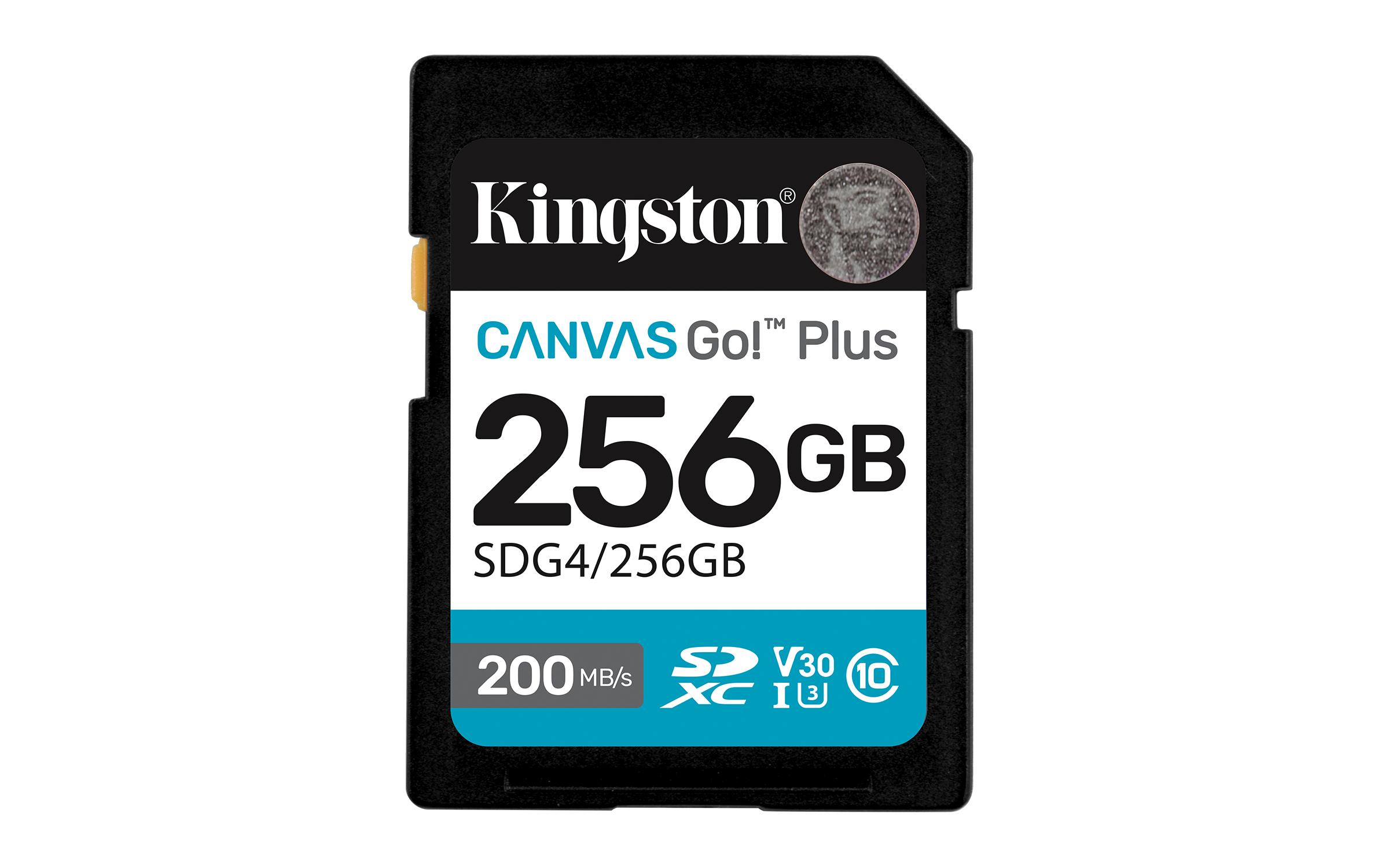 Kingston Technology 256GB...