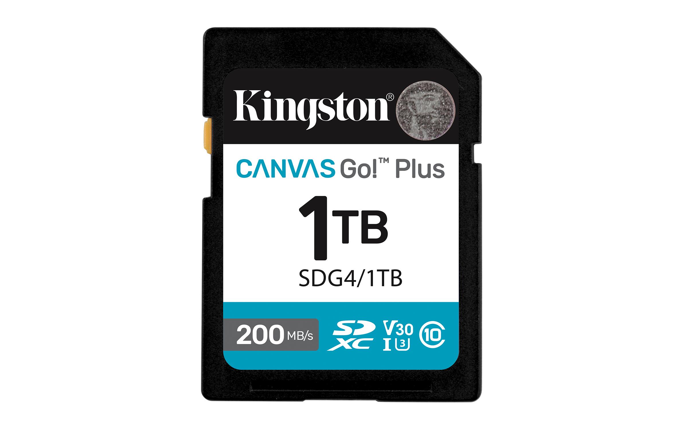 Kingston Technology 1TB...
