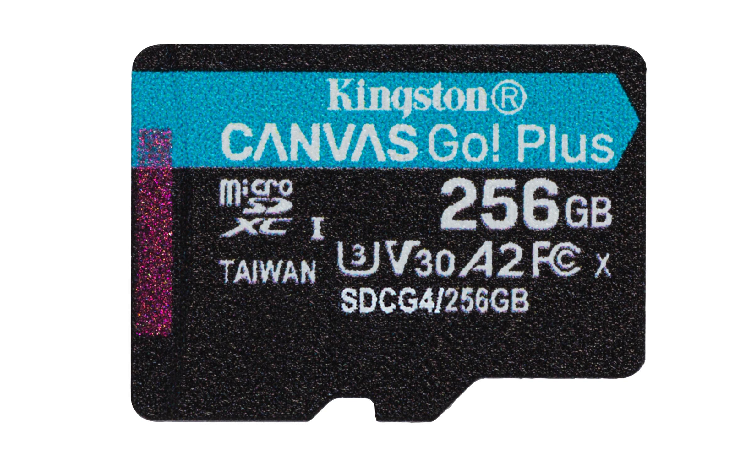 Kingston Technology 256 GB...