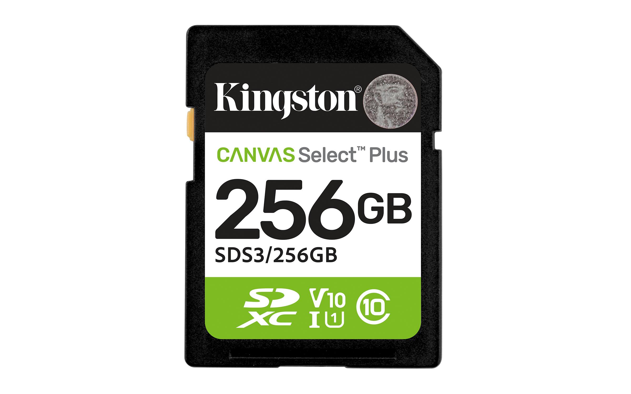 Kingston Technology 256GB...