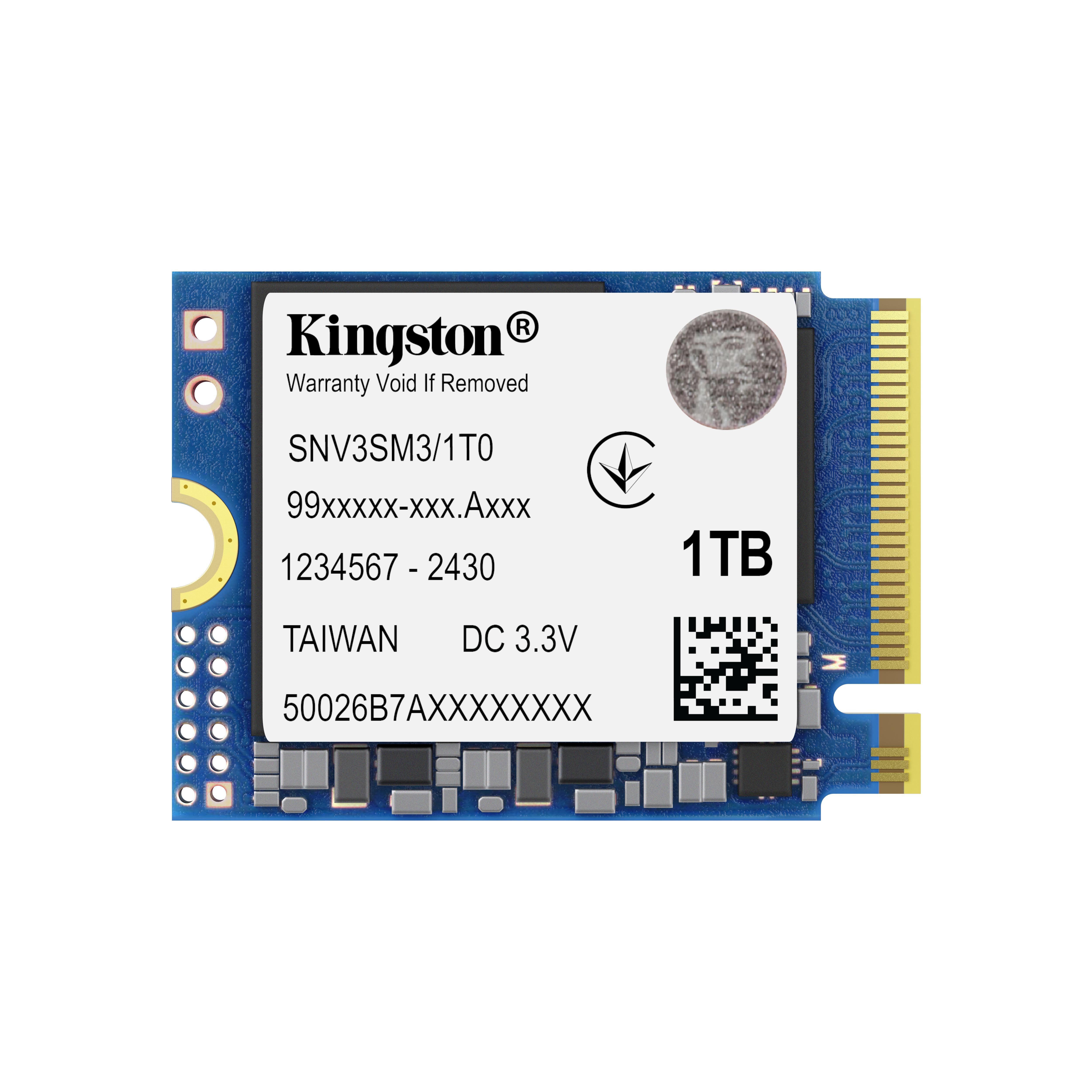 Kingston Technology 1000G...