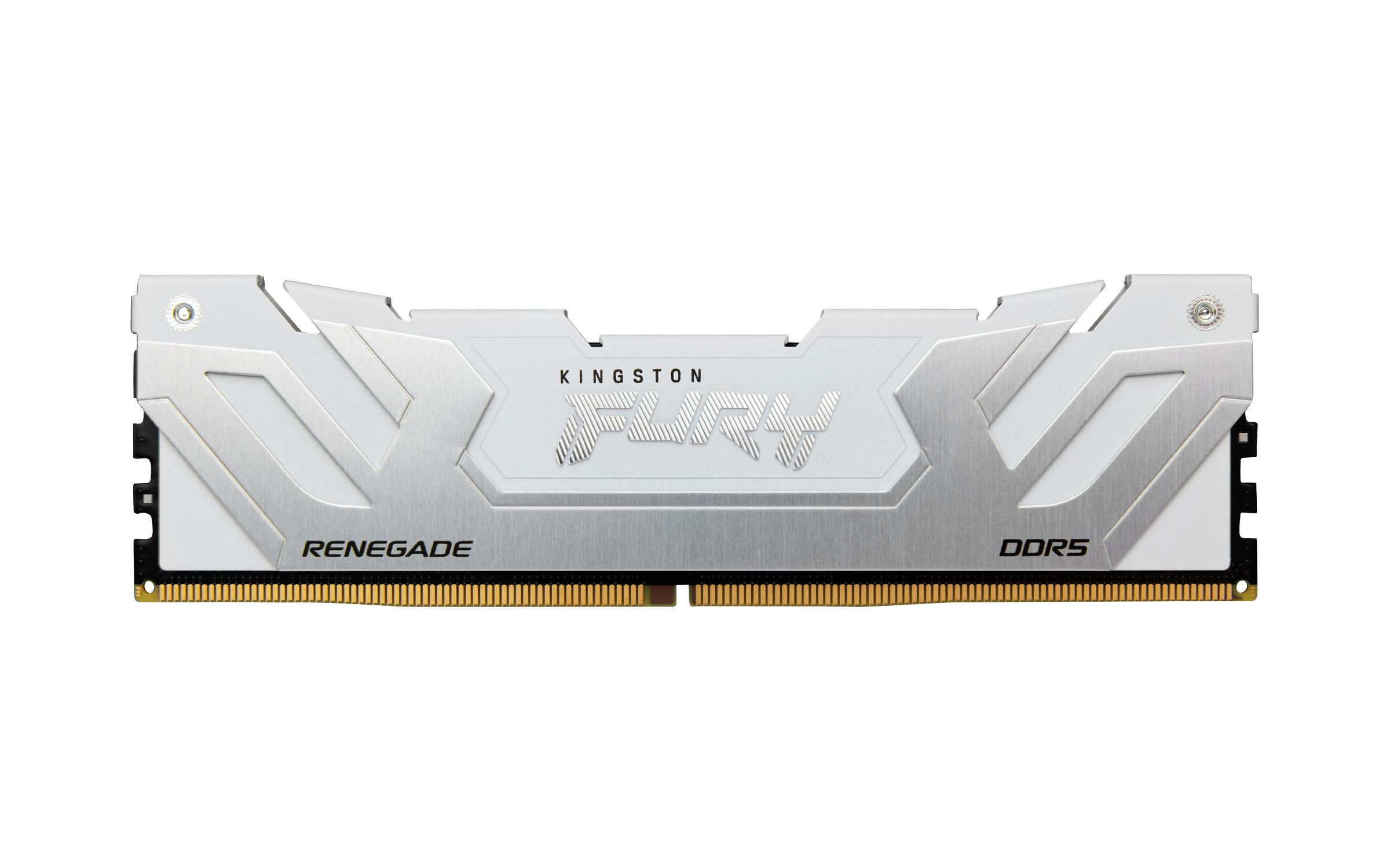 Kingston Technology FURY...