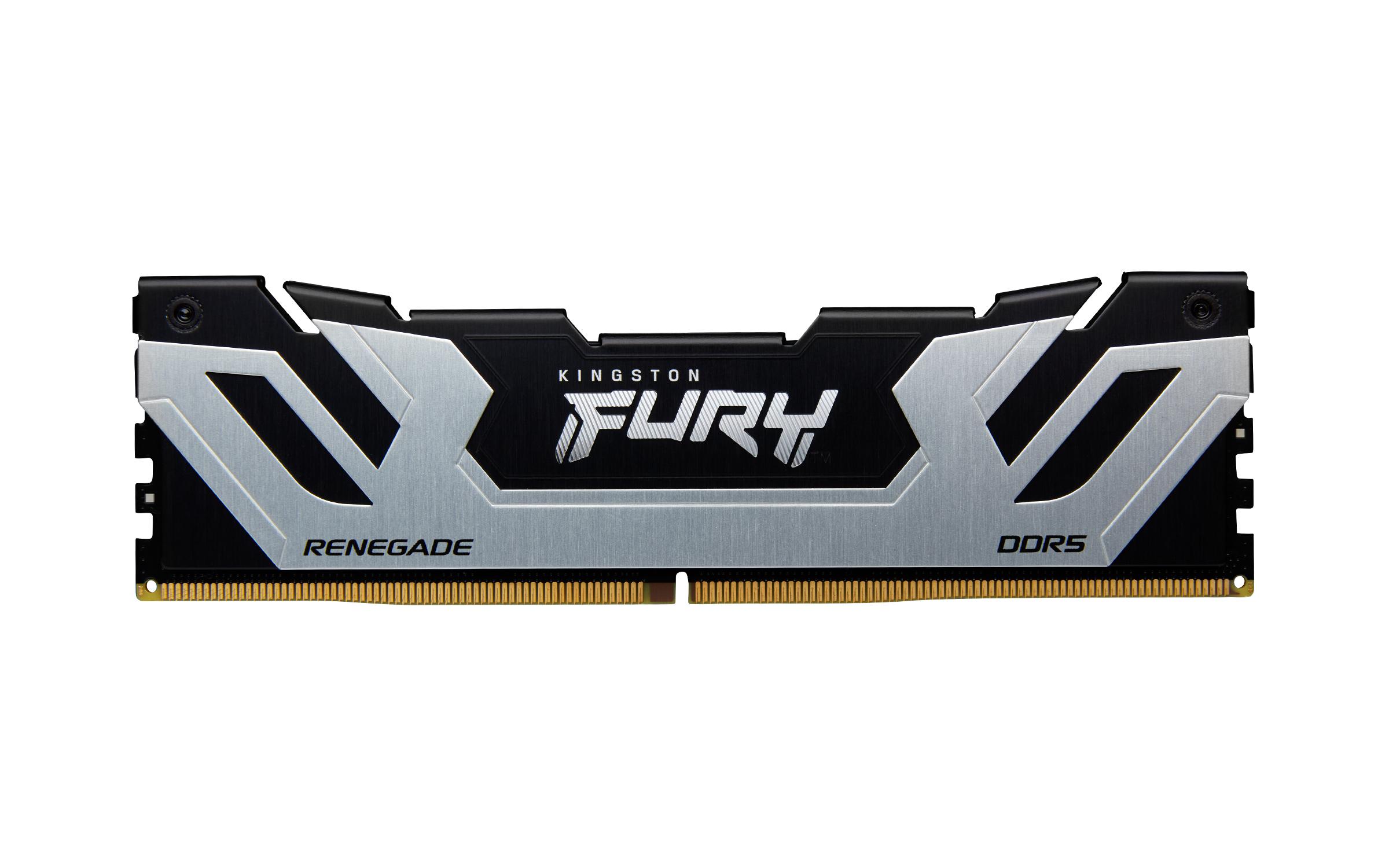 Kingston Technology FURY...