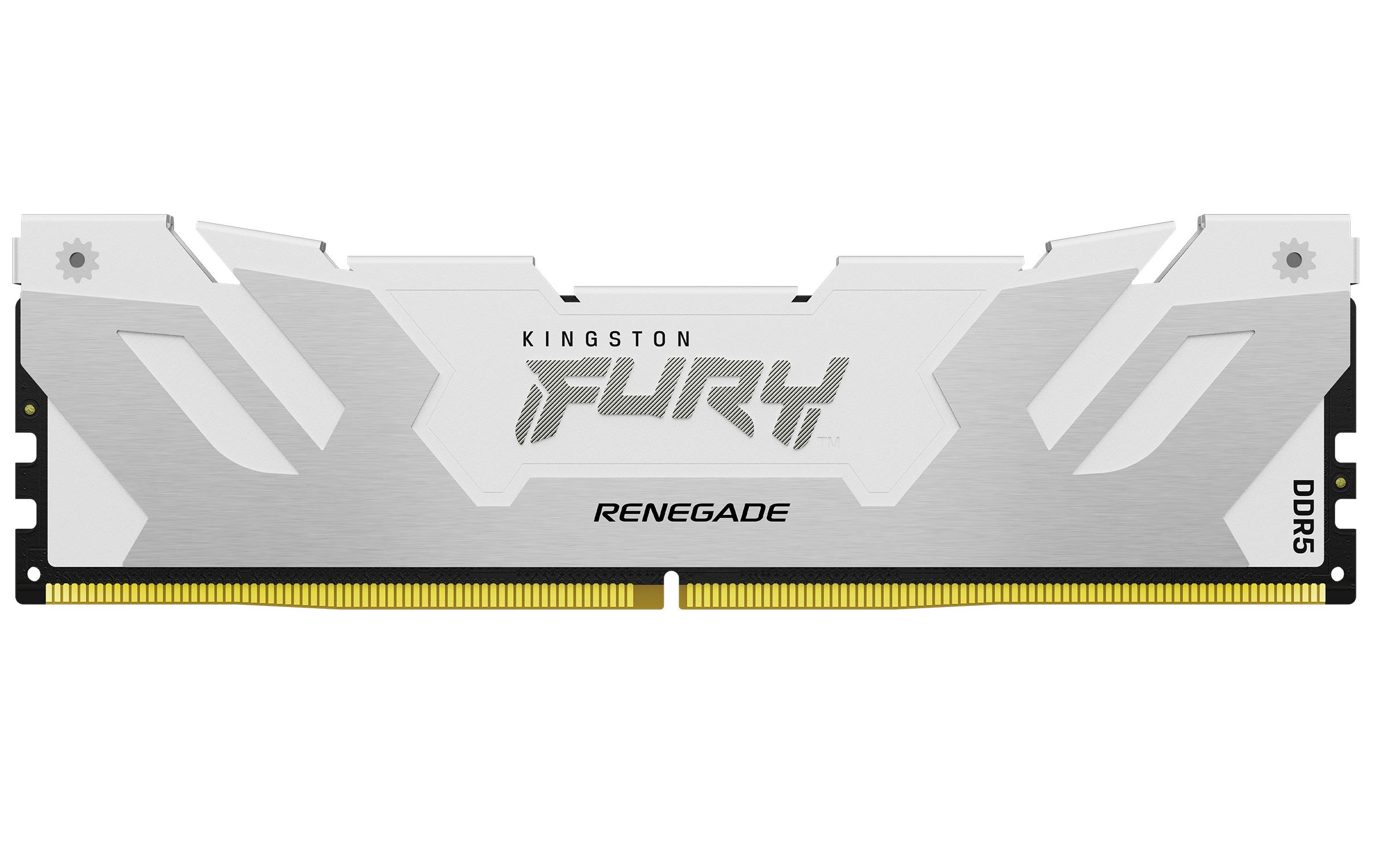 Kingston Technology FURY...