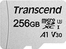 Ã¢â‚¬Â¢ 256GB microSD w/ adapter UHS-I U3 A1 Ã¢â‚¬Â¢ Lesegeschwindigkeit: Bis zu 95 MB/s Ã¢â‚¬Â¢ Schrei