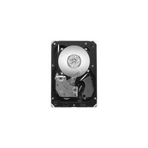 Seagate Cheetah 15K.7 - Disco rigido - 300 GB - Interno - 8,9 cm (3,5 ") - SAS -2 - 15000 giri / min - tampone: 16 MB (ST330065