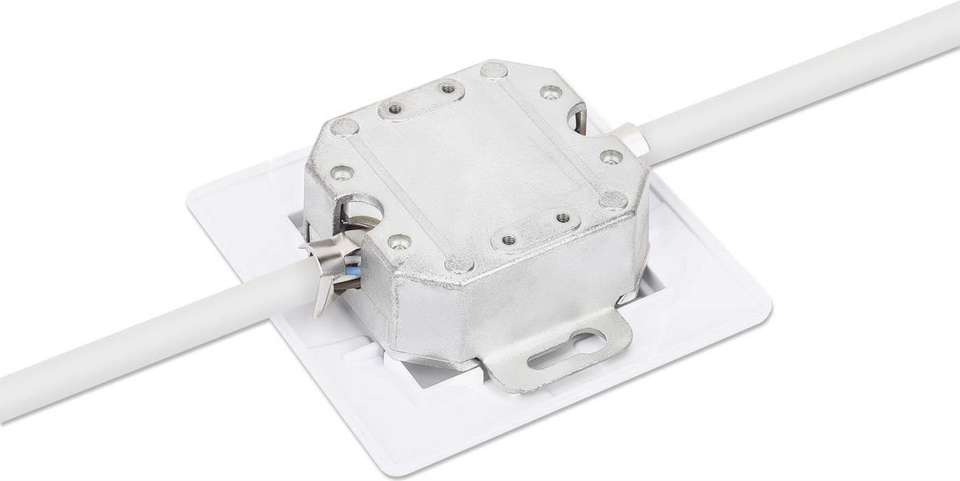 Intellinet - piastra a muro - Cat6 10G - con finestra per etichetta - RJ 45 - angolata - 2 prese di rete - RAL 9003 bianco segn