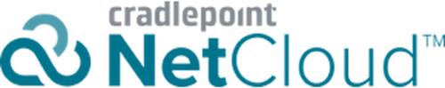 NetCloud Enterprise Branch, licenza, 1 anno
