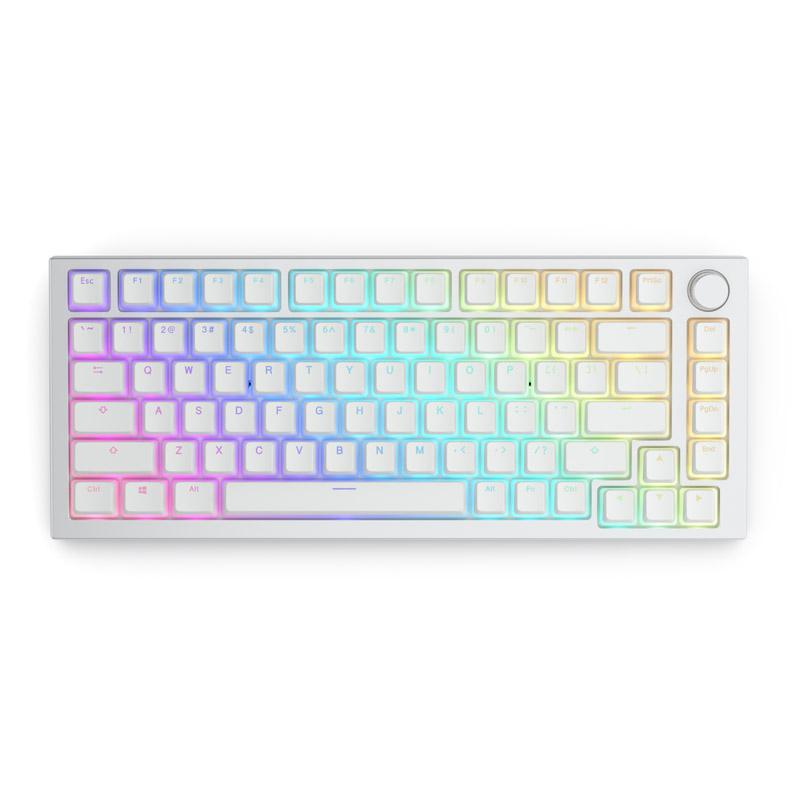 Glorious PC Gaming Race Aura V2 Coperchio per tastiera (Glorious Aura Keycaps v2 PBT ANSI US - White [GLO-KC-AURA2-W])