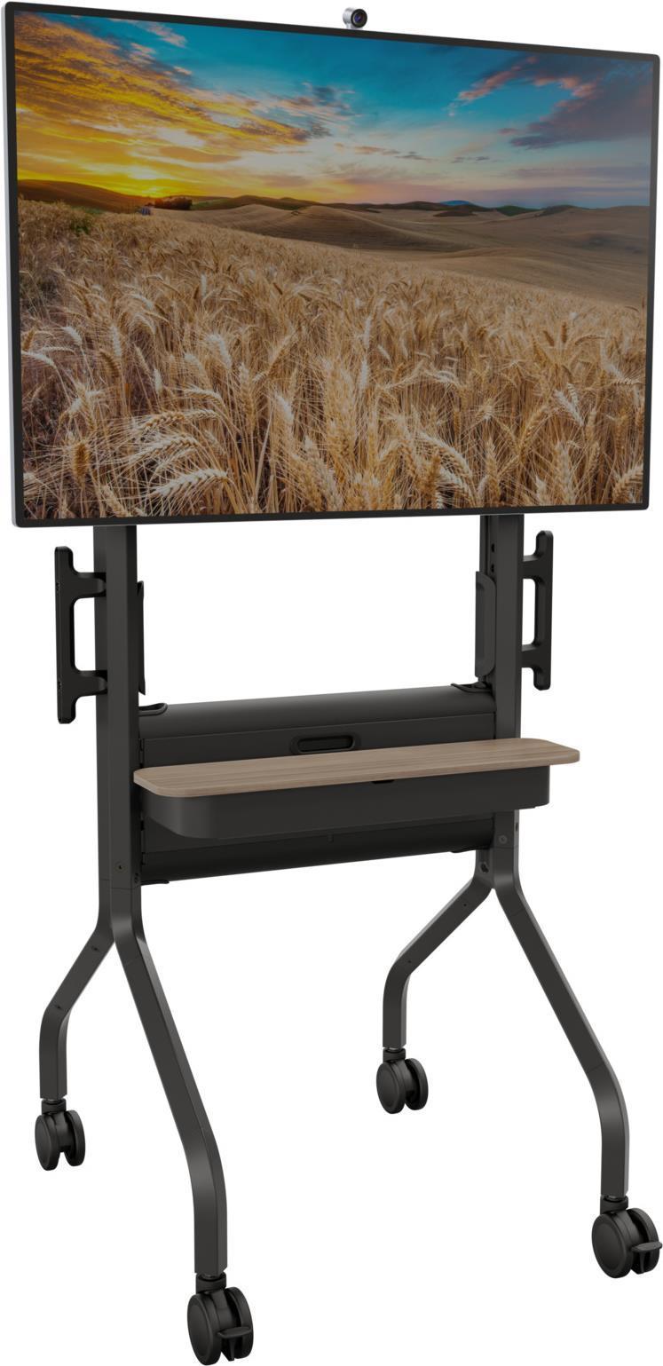 VOYAGER TROLLEY FOR CORPORATE