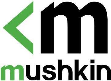 Mushkin Tempest 1 TB M.2 PCI Express 3.0 NVMe 3D NAND (Mushkin SSD 1TB 2900/3300 Tempest M.2)