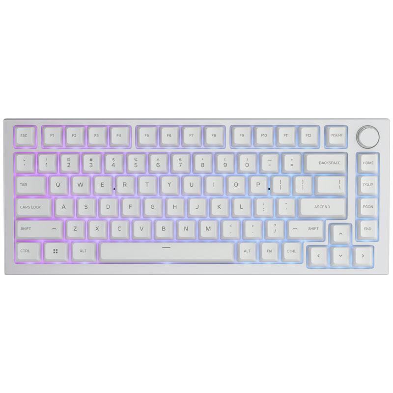 Glorious PC Gaming Race GMMK Pro Tastiera barebone (Glorious GMMK Pro 75 Barebone - White Ice ANSI Layout [GLO-GMMK-P75-RGB-W])