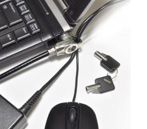 KEYED DOUBLE HEAD CABLE LOCK