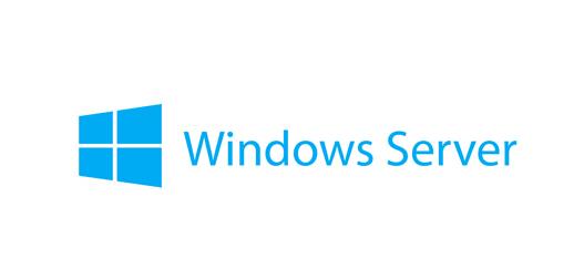 Lenovo Windows Remote Desktop Services CAL 2019 Client Access License CAL 1 licenza/e (LENOVO MICROSOFT WINDOWS SERVER 20191 DE