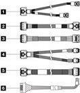 Lenovo ThinkSystem SR650 V3 2.5" Chassis Front BP1 SAS/SATA Cable Kit - 4X97A82933