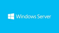 Microsoft Windows Server 2019 Client Access License [CAL] (Microsoft Windows Server 2019 - Licenza - 5 licenze CAL utente - OEM