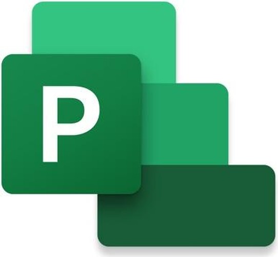 Microsoft Project Professional
