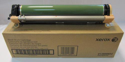 Xerox Drum f/ DocuColor 242 Originale