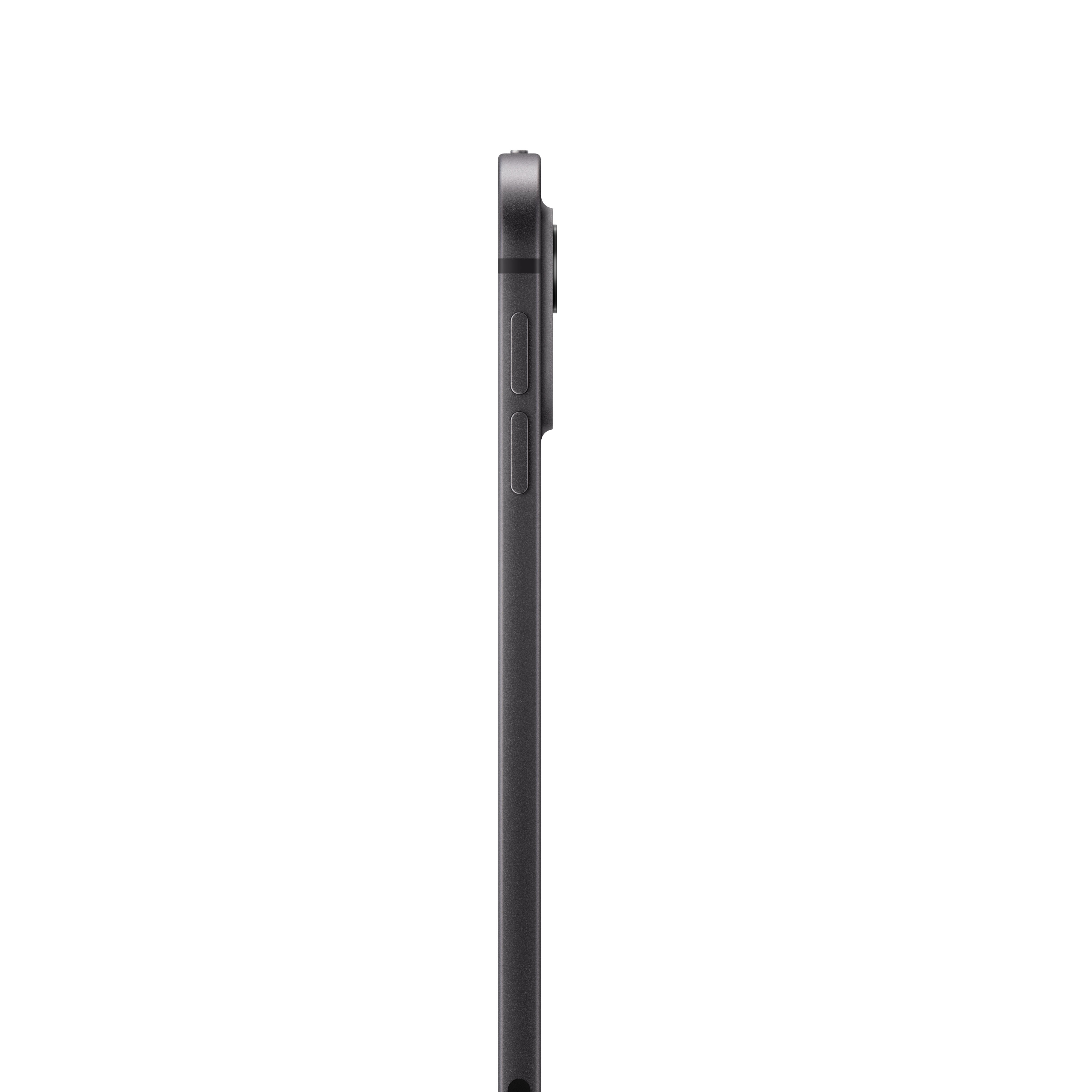 IPAD PRO 11 WI-FI CL 256GB...