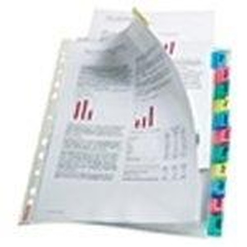 Esselte Index Pockets album...
