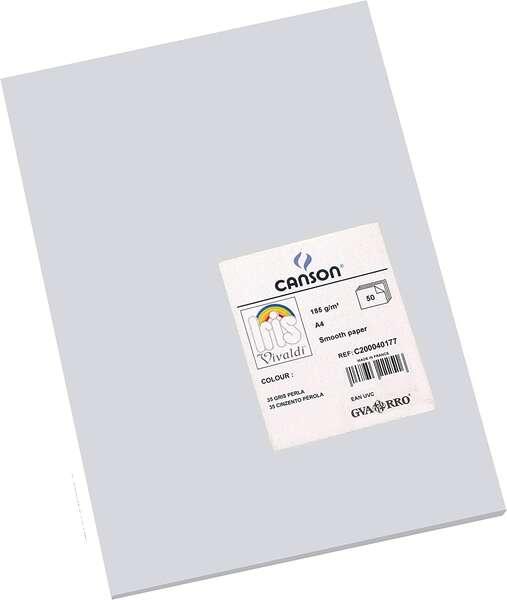 Tanson Guarro Pack di 50 carte Iris A4 185G - 21x297 cm - colore grigio perla