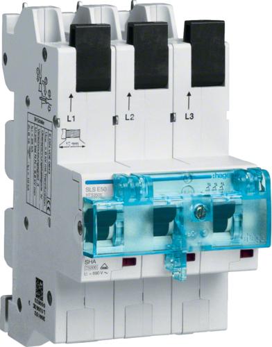 Interruttore Hager HTS350E 50A FI-LS