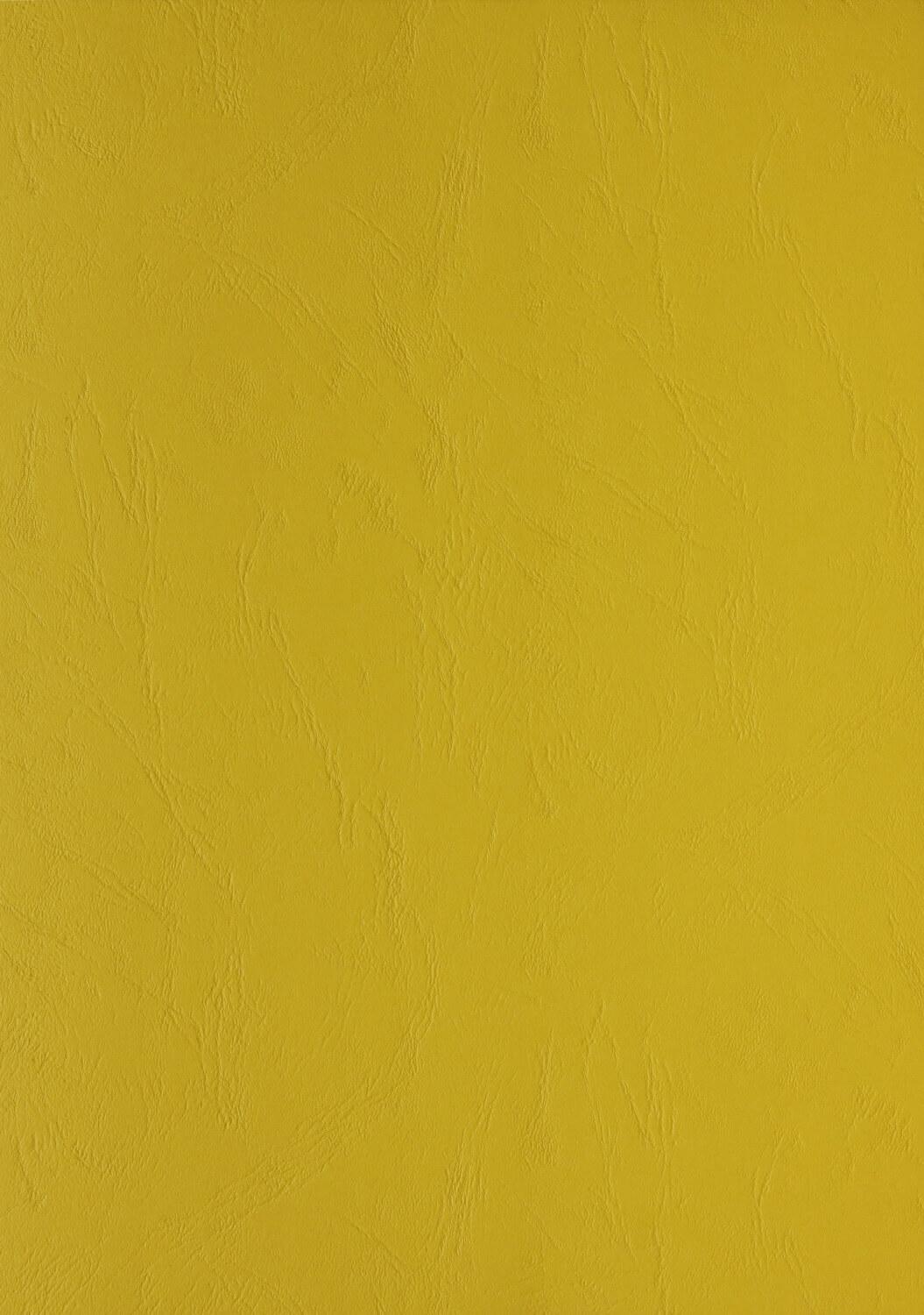 Genere in pelle cartone di cartone DIN A4 CLAIR TELEFONO 270 g / mÃ‚Â² Testo e copertura giallo 2700 (100 pezzi)